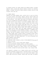 비정규직근로자 문제점에 대한 해결방안 및 고찰-12
