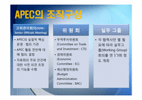 APEC과 한국 레포트-11