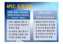 APEC과 한국 레포트-12