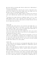 십자군 레포트-9