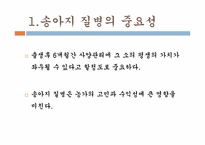 송아지 질병과 해결방안-3