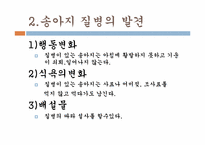 송아지 질병과 해결방안-4