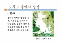 송아지 질병과 해결방안-5