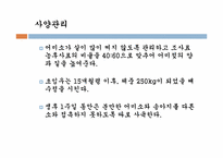 송아지 질병과 해결방안-18