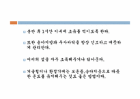 송아지 질병과 해결방안-19