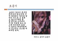 송아지 질병과 해결방안-20