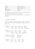 미국식 영어와 영국식 영어의 차이(하나의 언어에서 출발한 미국 영어와 영국영어)-7