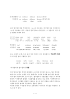 미국식 영어와 영국식 영어의 차이(하나의 언어에서 출발한 미국 영어와 영국영어)-8