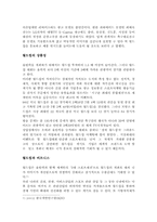 [마케팅] 현대의 2002년 월드컵 마케팅 광고 효과-5