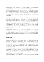 [마케팅] 현대의 2002년 월드컵 마케팅 광고 효과-6