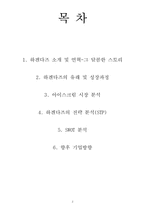 [마케팅 원론] 하겐다즈 STP, SWOT 마케팅 전략 및 향후 방향-2