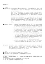 [마케팅 원론] 하겐다즈 STP, SWOT 마케팅 전략 및 향후 방향-10