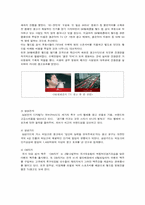 [마케팅] 국가와 기업의 월드컵 마케팅 정책과 사례 및 성공적 방안-14