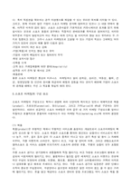 [마케팅] 월드컵을 통한 스포츠 마케팅 사례 연구-4