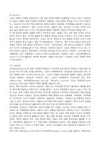 [마케팅] 월드컵을 통한 스포츠 마케팅 사례 연구-5
