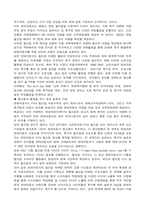 [마케팅] 월드컵을 통한 스포츠 마케팅 사례 연구-11