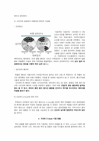 [소비자행동론] 전자책(E-BOOK)시장 Amazon 킨들 성공요인-8