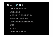[소비자 행동론] 완판녀 현상 분석-3