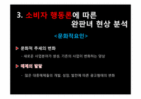 [소비자 행동론] 완판녀 현상 분석-7
