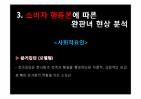 [소비자 행동론] 완판녀 현상 분석-8