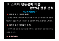 [소비자 행동론] 완판녀 현상 분석-9