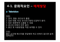 [소비자 행동론] 완판녀 현상 분석-13
