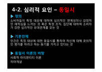 [소비자 행동론] 완판녀 현상 분석-18