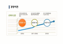 [재무관리] 넥센타이어 재무제표분석(~2009)-5