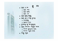 [미디어산업론] SBS IR 기업분석 및 독점중계 문제-2