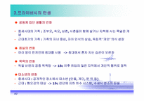 [경제학] 유러피언 드림-개인주의의 발달-10