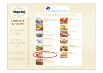 [마케팅 원론] 하겐다즈 STP, SWOT 마케팅 전략 및 향후 방향-5