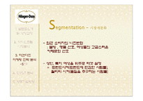 [마케팅 원론] 하겐다즈 STP, SWOT 마케팅 전략 및 향후 방향-12