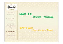[마케팅 원론] 하겐다즈 STP, SWOT 마케팅 전략 및 향후 방향-17
