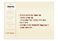 [마케팅 원론] 하겐다즈 STP, SWOT 마케팅 전략 및 향후 방향-18
