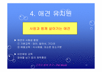 [마케팅] 애완동물 종합센터 경영 전략 및 홍보 방안-12
