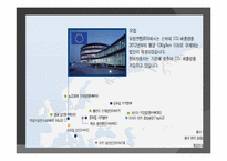 [국제경영] 현대자동차 글로벌 전략-6