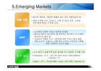 [경영학] 시멕스 CEMAX 국제시장 진출 전략-17