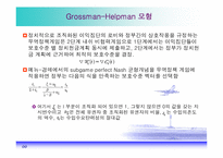 [경제학] 보호무역주의의 정치경제학-14
