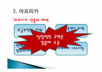 [국제경영] 인도네이사, 아프리카 신흥시장과 신라면 중국진출 사례 조사-10