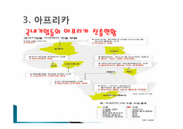 [국제경영] 인도네이사, 아프리카 신흥시장과 신라면 중국진출 사례 조사-11