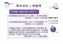 [소비자행동론] 크레신 이어폰 신제품 마케팅 전략-11