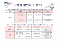 [소비자행동론] 크레신 이어폰 신제품 마케팅 전략-20