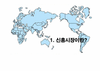 [국제경영] 신흥시장과 진출사례-3