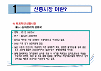 [국제경영] 신흥시장과 진출사례-10