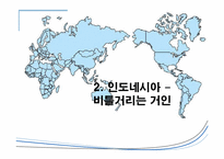 [국제경영] 신흥시장과 진출사례-11