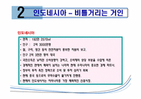 [국제경영] 신흥시장과 진출사례-12