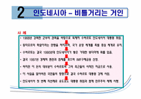 [국제경영] 신흥시장과 진출사례-13