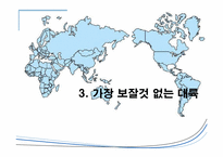 [국제경영] 신흥시장과 진출사례-18