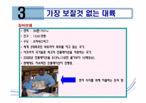 [국제경영] 신흥시장과 진출사례-19