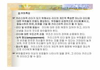 [리더십] 카리스마적 리더십-10